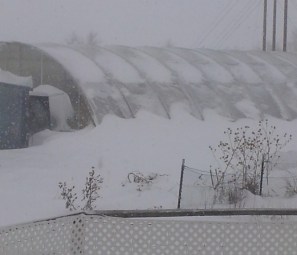 blizzard 2-3-16-2 (2)