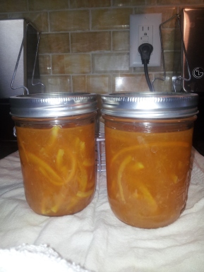 orange marmalade made 5-23-16