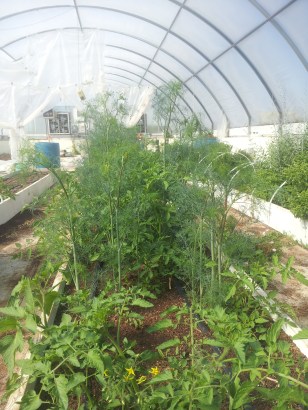 20160605_091933 (1).jpg