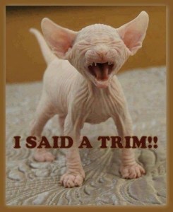i said trim
