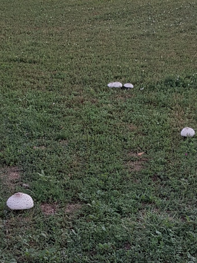 8 1 guess we are wet