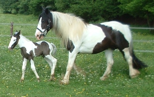 dolley and baby