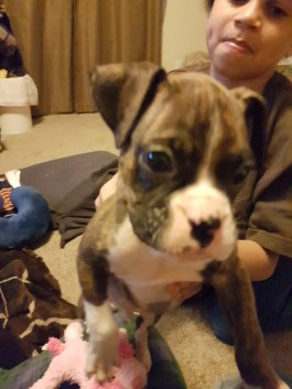 12-2-16-new-addition-to-family