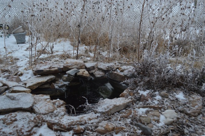 the-pond-in-feb-normal
