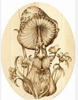 woodburn-mushroom-2017