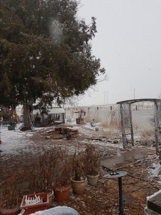 2-28-17-snowing-n-20-degrees