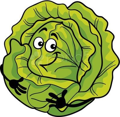 Happy cabbage