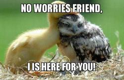 no-worries-friend-590770