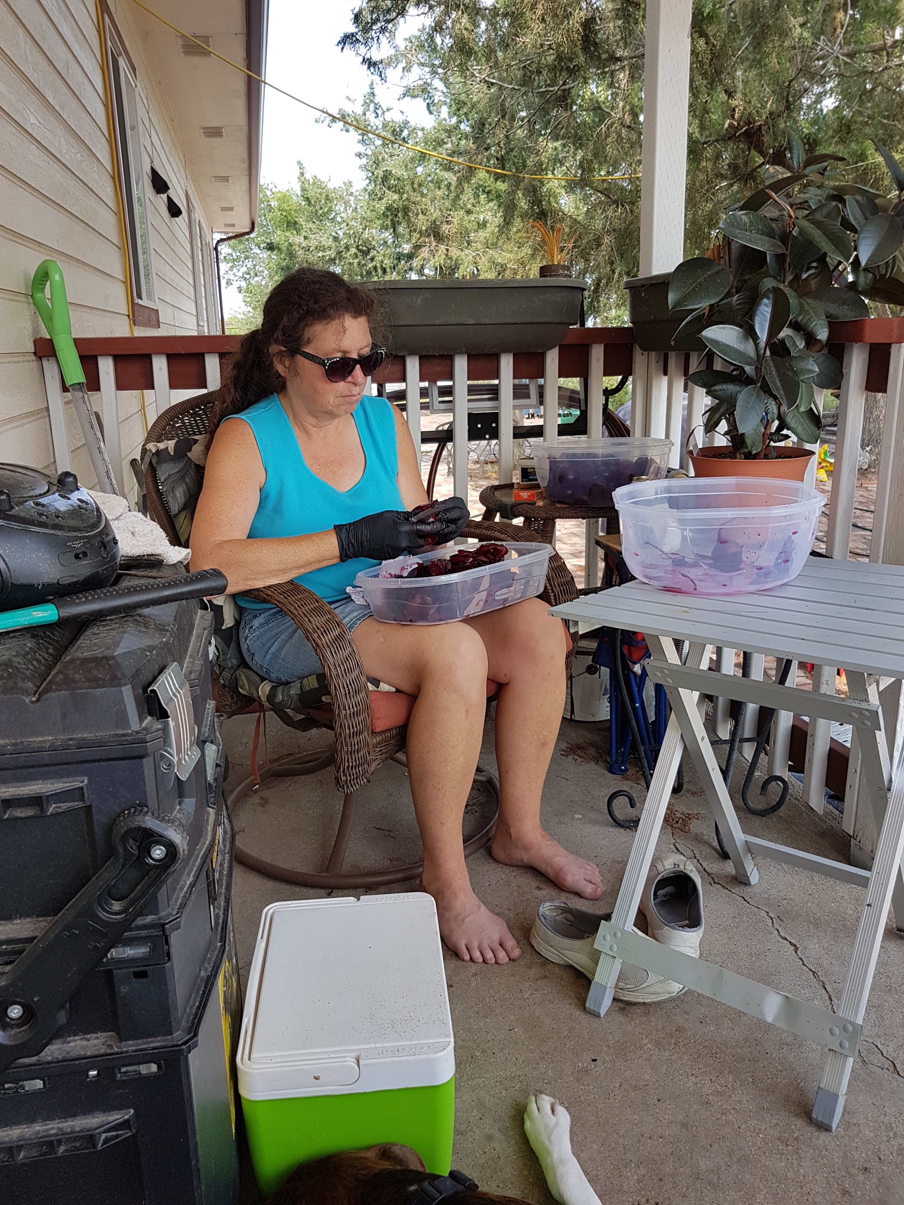 8-5 how we process foods-beets