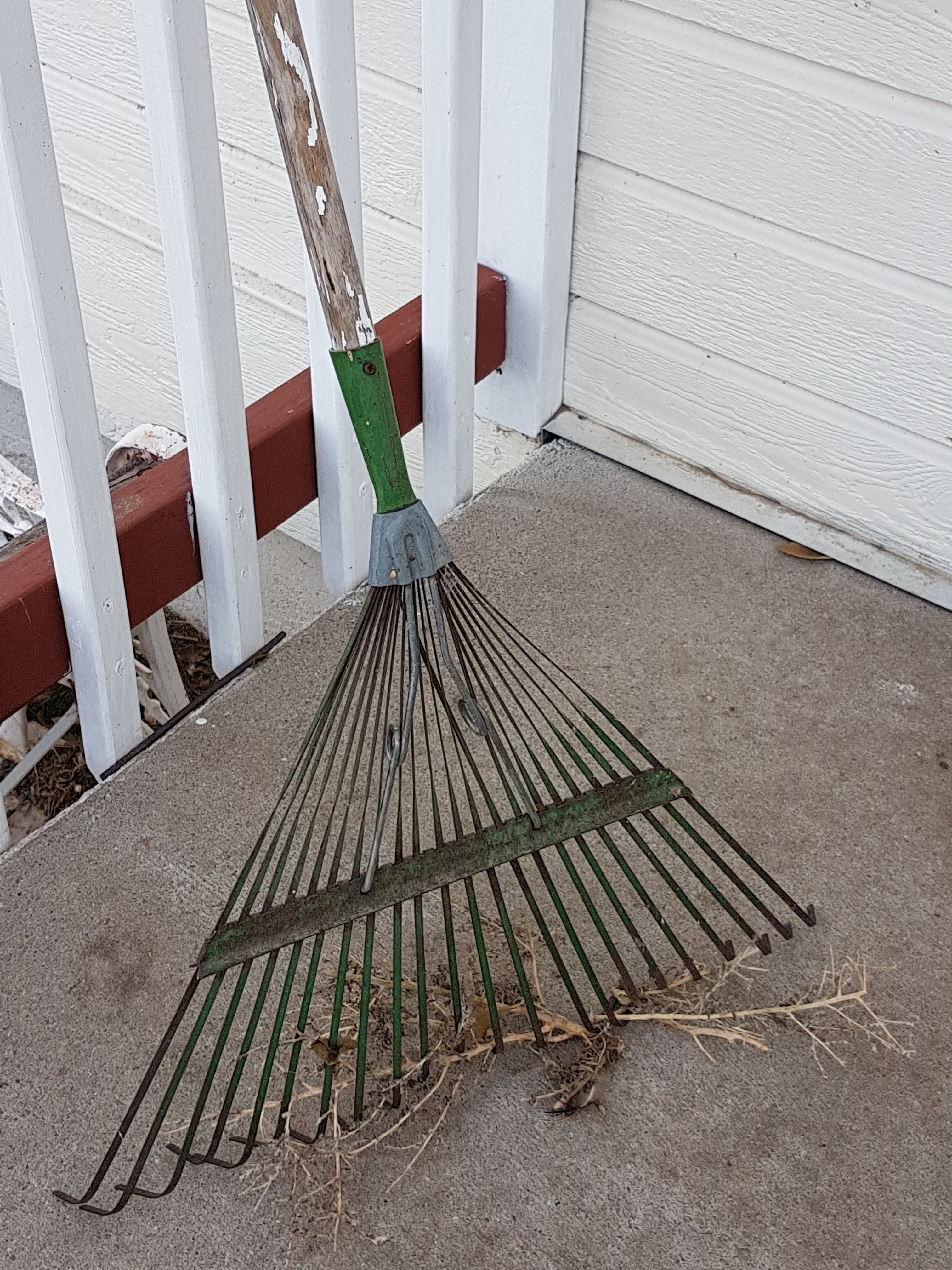 our leaf rake after N done