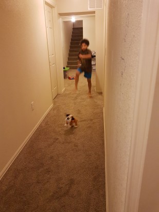 who let the dogs out wiht nathan