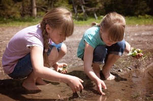 kids playing in creek