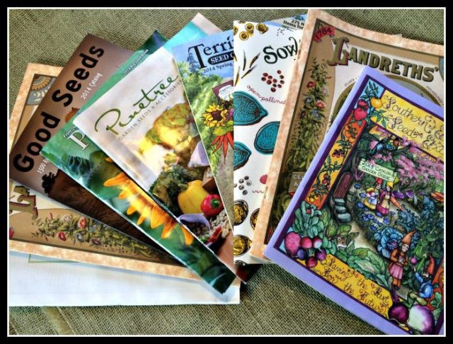 seed catalogs