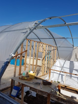 4-23 phase 1 new life