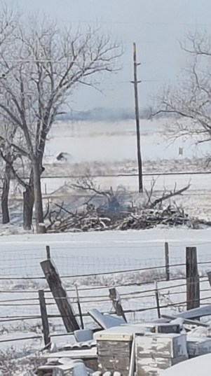 brush fire 2-7-19 hollow 2