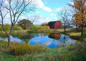 farm pond
